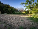 Maison à construire à Saint-Hilaire (11250) 2265672-11456annonce120250909JA9Q6.jpeg Maisons France Confort