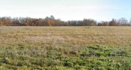 Villariès Terrain à bâtir - 2242481-5604annonce220250807KT1S5.jpeg Maisons France Confort