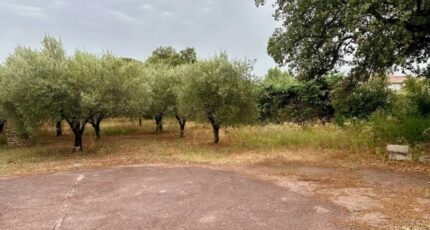 Puget-sur-Argens Terrain à bâtir - 2266154-10295annonce120250910kRIue.jpeg Maisons France Confort