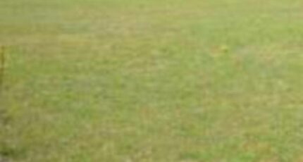 Troyes Maison neuve - 2266535-4032annonce120250910UJBbu.jpeg Maisons France Confort