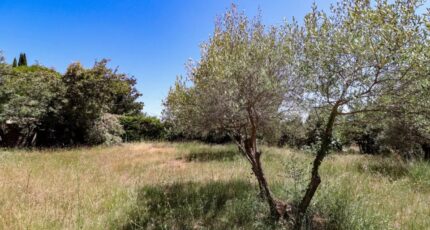 Flayosc Terrain à bâtir - 2266786-10295annonce220250910i3ZQ7.jpeg Maisons France Confort