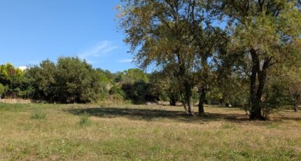 Châteauneuf-Grasse Terrain à bâtir - 2266887-9270annonce120250113dzEHl.jpeg Maisons France Confort