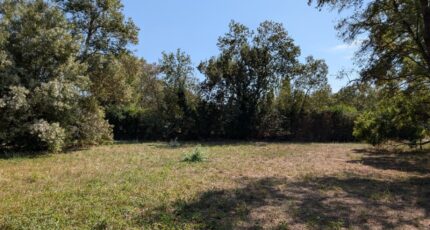 Châteauneuf-Grasse Terrain à bâtir - 2266887-9270annonce220250113H3irG.jpeg Maisons France Confort