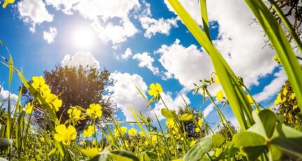 Milhac Maison neuve - 2266960-11302annonce120250910Df0DR.jpeg Maisons France Confort