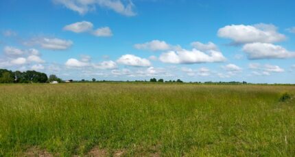 Cognac Terrain à bâtir - 2267124-11268annonce120250910Tzpvv.jpeg Maisons France Confort