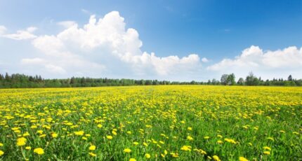 Terrasson-Lavilledieu Maison neuve - 2267505-11302annonce120250911ORk7V.jpeg Maisons France Confort