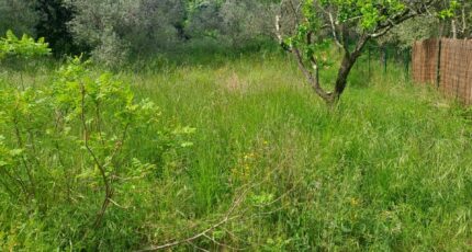 Plan-d'Aups-Sainte-Baume Maison neuve - 2268909-11238annonce220250912N7EUQ.jpeg Maisons France Confort