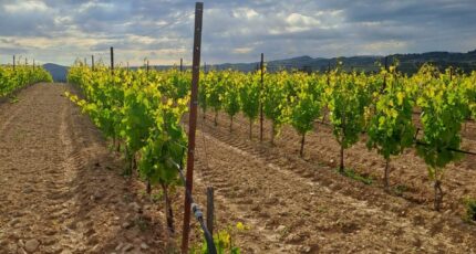 Pertuis Maison neuve - 2269012-11238annonce120250912yqWnN.jpeg Maisons France Confort