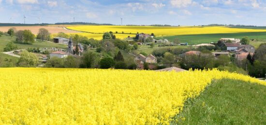 Terrain à bâtir à Chinon, Centre-Val de Loire