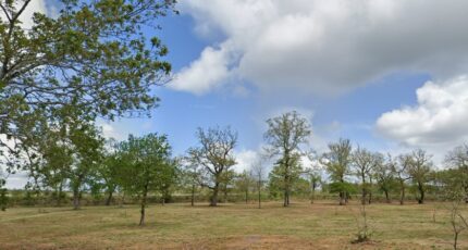 Saint-Médard-d'Eyrans Terrain à bâtir - 2267168-11306annonce120251010sXqn3.jpeg Maisons France Confort