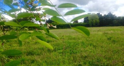 Cavaillon Maison neuve - 2270985-417annonce120250915ORVUO.jpeg Maisons France Confort