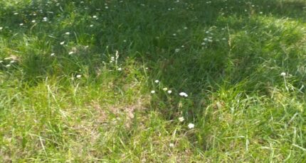 Trun Maison neuve - 2237142-1153annonce120241030siNLh.jpeg Maisons France Confort