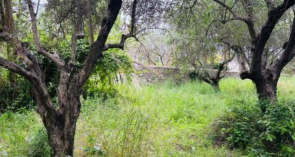 Cuers Terrain à bâtir - 2271179-4866annonce320250915iDlC6.jpeg Maisons France Confort