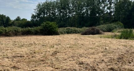 La Milesse Terrain à bâtir - 2233407-3704annonce120250725O6oFH.jpeg Maisons France Confort