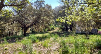 Rians Terrain à bâtir - 2271752-11137annonce320250512cHZX6.jpeg Maisons France Confort