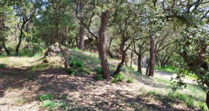 Rians Terrain à bâtir - 2271752-11137annonce420250512pWyof.jpeg Maisons France Confort