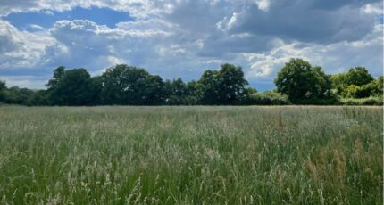 Sablé-sur-Sarthe Maison neuve - 2272341-1263annonce120250516Txw83.jpeg Maisons France Confort