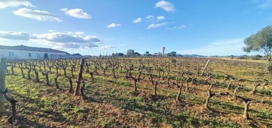 Terrain à bâtir à , Hérault
