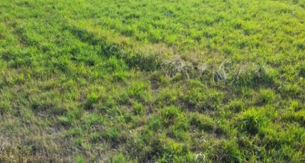 Verneuil-sur-Vienne Terrain à bâtir - 2273210-3291annonce120250916r41lg.jpeg Maisons France Confort