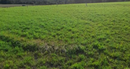 Verneuil-sur-Vienne Terrain à bâtir - 2273210-3291annonce220250916rlpkr.jpeg Maisons France Confort