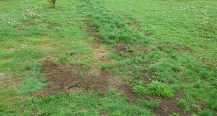 Saint-Priest-Taurion Maison neuve - 2273299-3291annonce120250916c08ht.jpeg Maisons France Confort