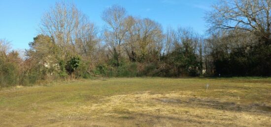Terrain à bâtir à Chinon, Centre-Val de Loire
