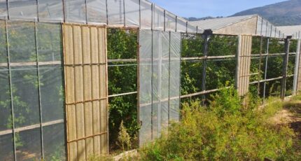 Carros Terrain à bâtir - 2274664-10316annonce220250917IwH7g.jpeg Maisons France Confort