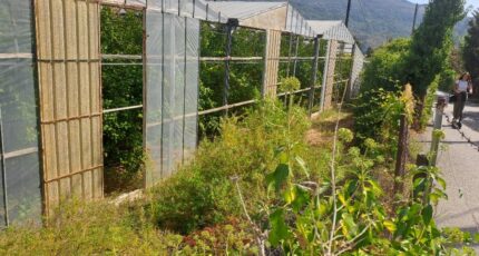 Carros Maison neuve - 2274669-10316annonce1202509176T8Uk.jpeg Maisons France Confort