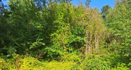 Tourrette-Levens Terrain à bâtir - 2274812-10316annonce220250917Pw6g0.jpeg Maisons France Confort