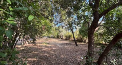 Cuers Maison neuve - 2275902-9599annonce120250918yLMgx.jpeg Maisons France Confort