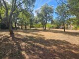 Terrain à bâtir à Le Cannet-des-Maures (83340) 2279154-10295annonce420250922kG5Ug.jpeg Maisons France Confort