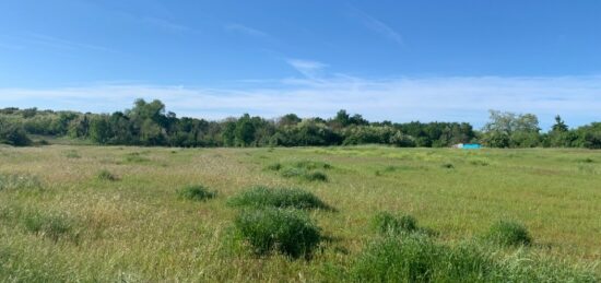 Terrain à bâtir à Verdelais, Nouvelle-Aquitaine