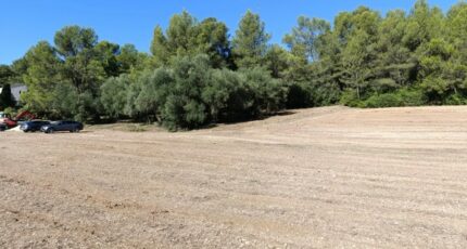 Montarnaud Terrain à bâtir - 2282087-3243annonce2202505145y3Mn.jpeg Maisons France Confort