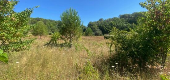 Terrain à bâtir à Lorgues, Provence-Alpes-Côte d'Azur