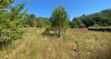 Lorgues Terrain à bâtir - 2250813-10122annonce320250826kqtBf.jpeg Maisons France Confort