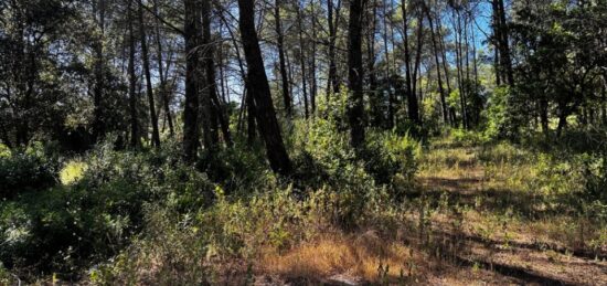 Terrain à bâtir à Fréjus, Provence-Alpes-Côte d'Azur