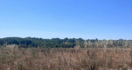 Meursac Maison neuve - 2286696-11452annonce220250929FlgrR.jpeg Maisons France Confort