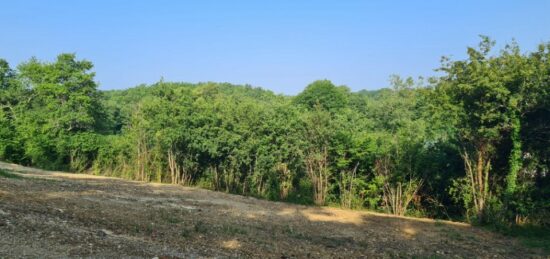 Terrain à bâtir à Croignon, Nouvelle-Aquitaine