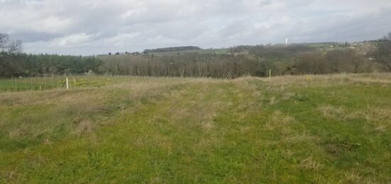 Terrain à bâtir à , Gironde