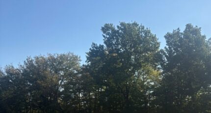 Cadarsac Terrain à bâtir - 2287334-10947annonce120250929Gekzf.jpeg Maisons France Confort