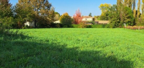 Terrain à bâtir à Saint-Denis-de-Pile, Nouvelle-Aquitaine