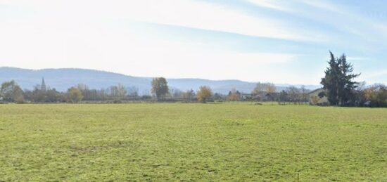 Terrain à bâtir à , Haute-Garonne
