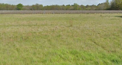 Saint-Loubert Terrain à bâtir - 2283784-11284annonce120250925zTehO.jpeg Maisons France Confort