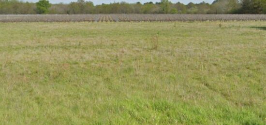 Terrain à bâtir à Saint-Loubert, Nouvelle-Aquitaine