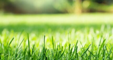 Saint-Maur-des-Fossés Maison neuve - 2245788-5343annonce220250815x863c.jpeg Maisons France Confort