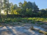 Maison à construire à Nomain (59310) 2287935-11632annonce1202509300ciqy.jpeg Maisons France Confort