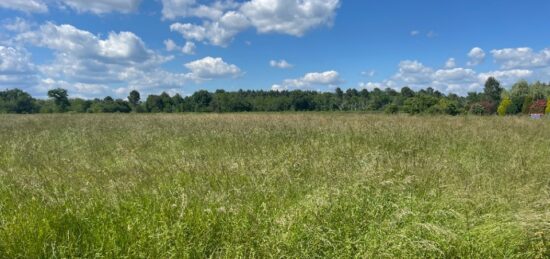 Terrain à bâtir à Saint-Pardon-de-Conques, Nouvelle-Aquitaine