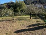 Terrain à bâtir à Le Luc (83340) 2289406-11136annonce120251001iG0BU.jpeg Maisons France Confort