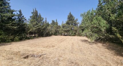 Grillon Terrain à bâtir - 2289447-812annonce120251001rQfpI.jpeg Maisons France Confort