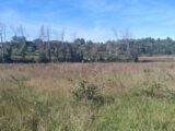 Terrain à bâtir à Vagnas (07150) 2289239-5100annonce120251001qPgMl.jpeg Maisons France Confort
